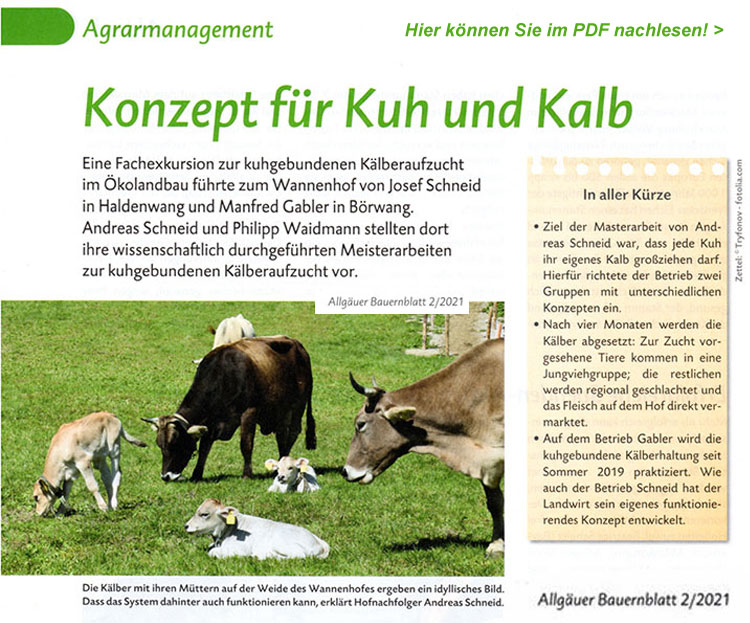 Allgäuer Bauernblatt 02/2021 - Konzept für Kuh und Kalb